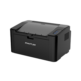 Impresora Laser Pantum P2500W Wi-Fi                                        